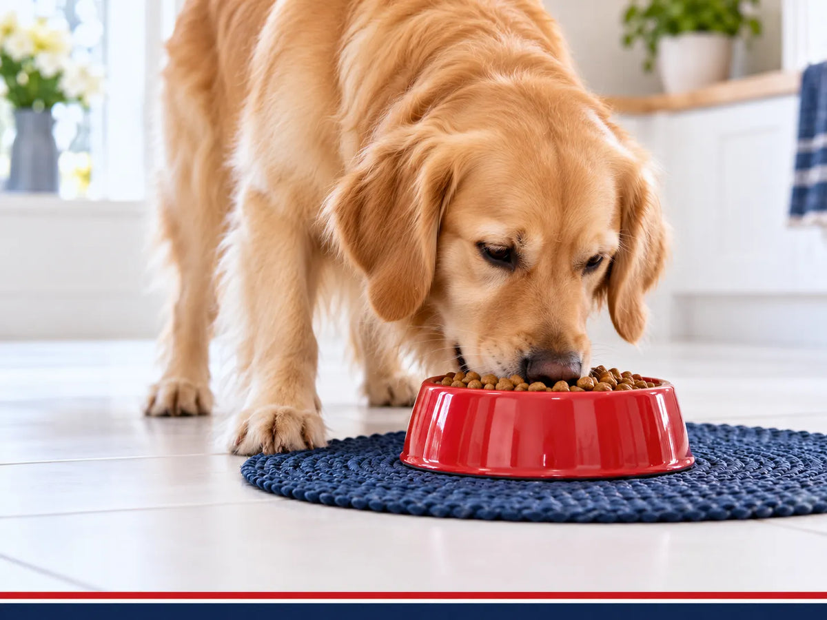 Dry Dog Food