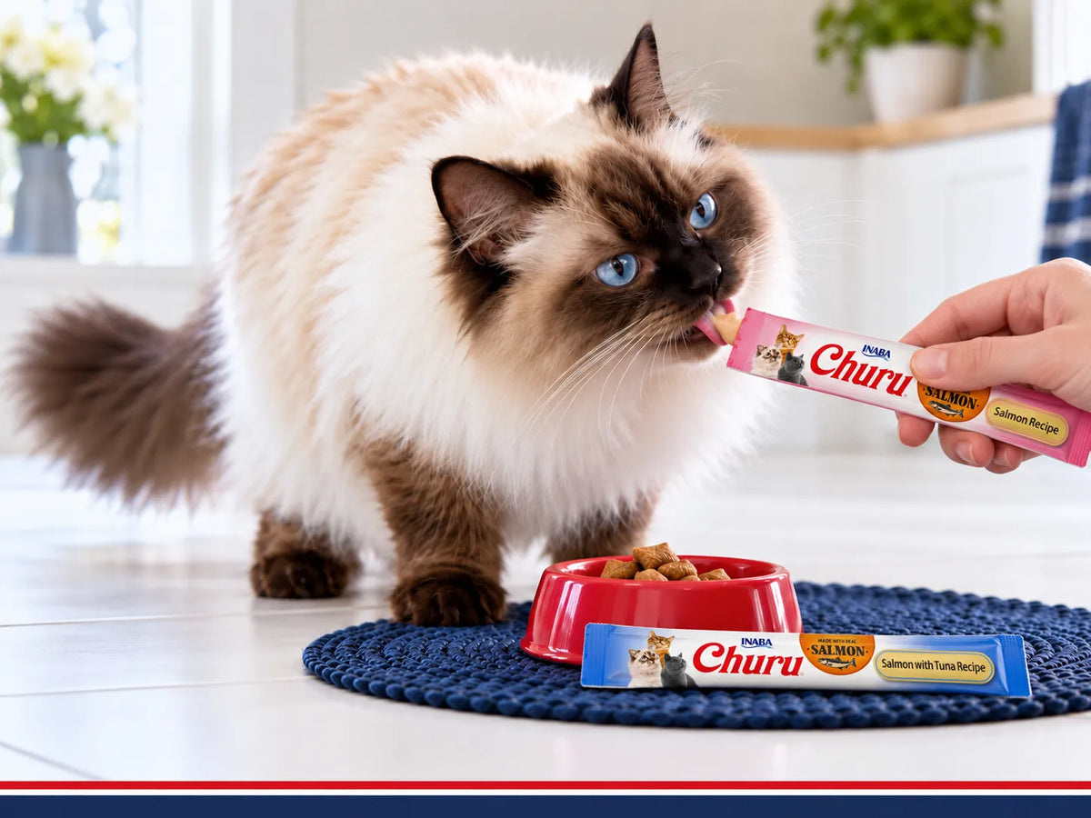 Cat Treats