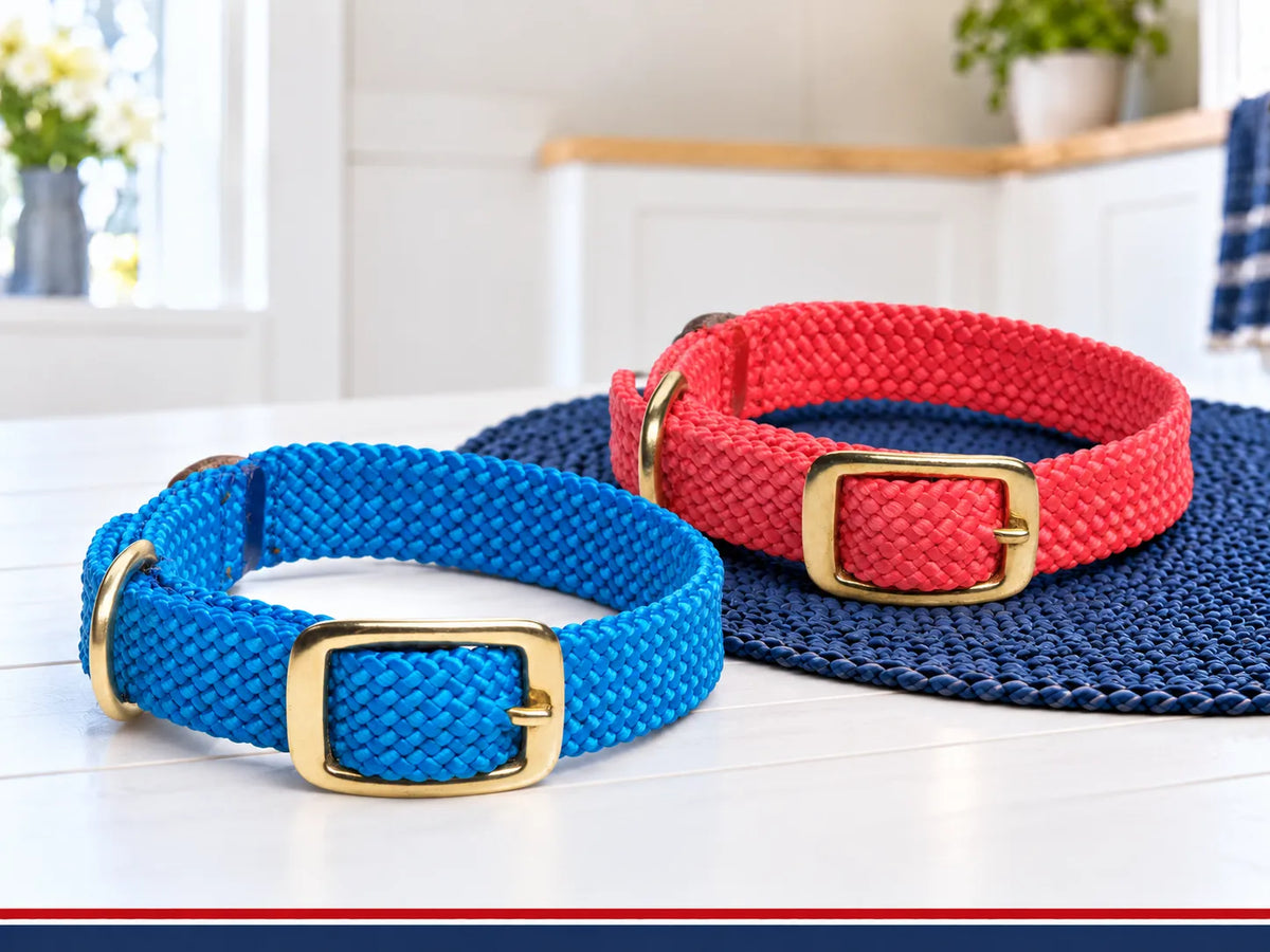 Dog Collars