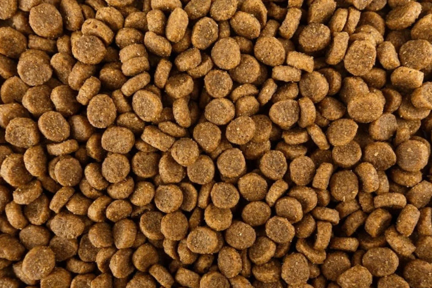 Dry Dog Food