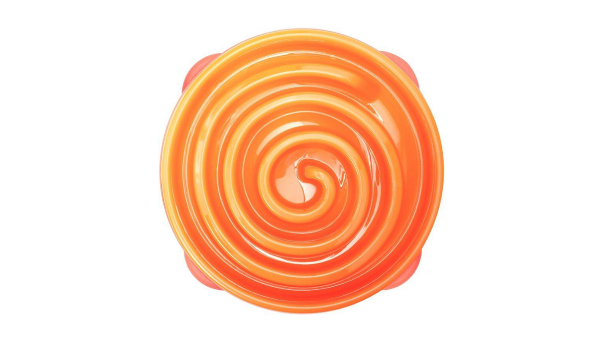 Outward Hound Fun Feeder Slo Bowl – Large Orange