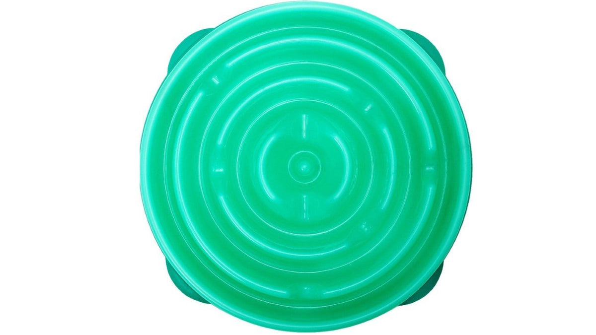Outward Hound Fun Feeder Slo Bowl – Large Teal