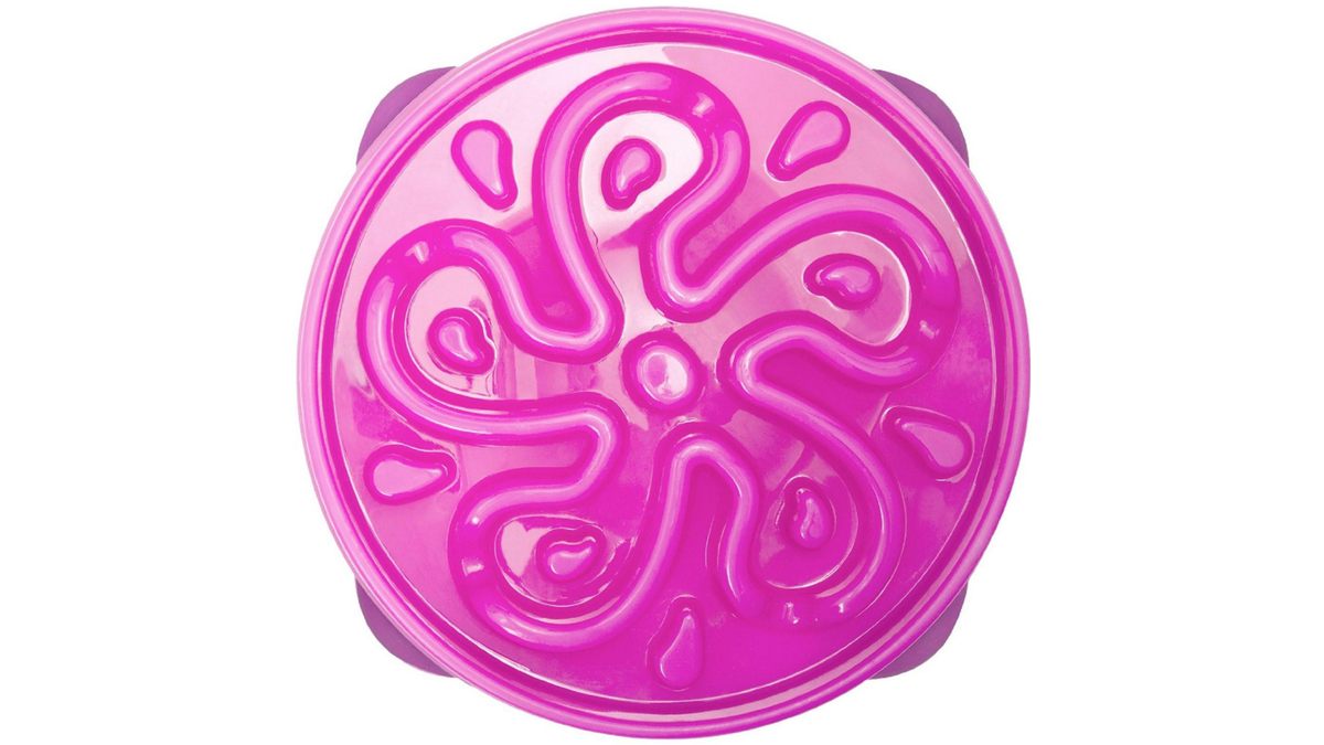 Outward Hound Fun Feeder Slo Bowl – Large Purple