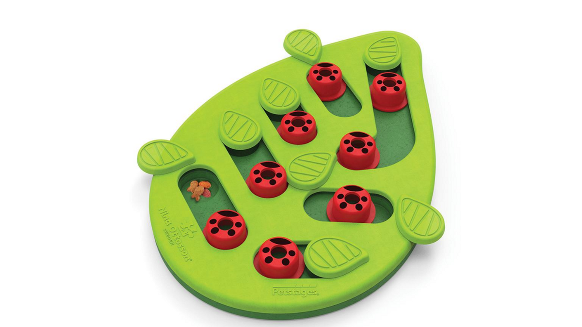 Nina Ottosson Buggin' Out Puzzle & Play Cat Treat Puzzle