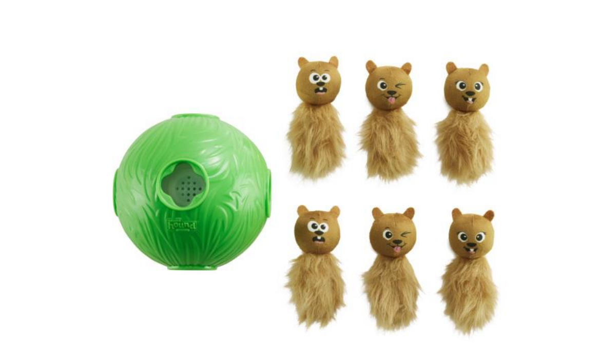 Nina Ottosson Snuffle N' Treat Ball Dog Puzzle