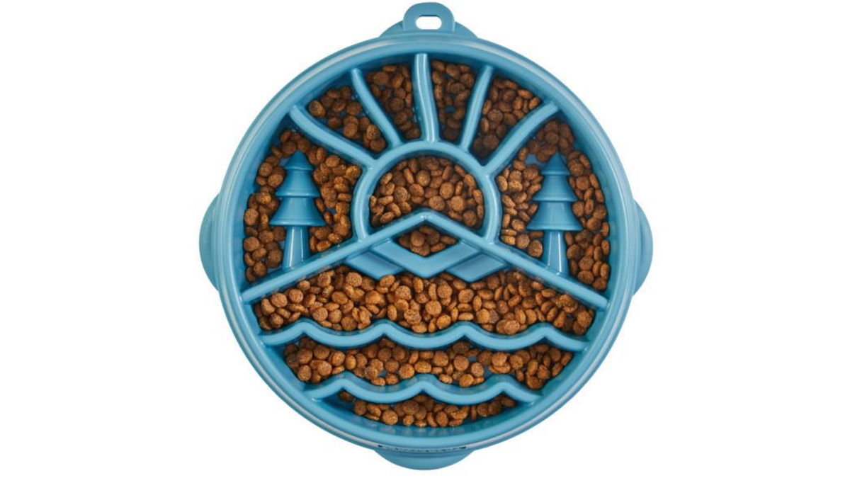 Outward Hound Fun Feeder Slo Bowl – Mountain Blue – Large