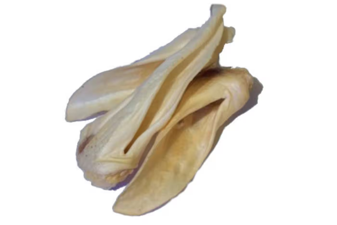 Dried Goat Ear Dog Treats - Dog Treats