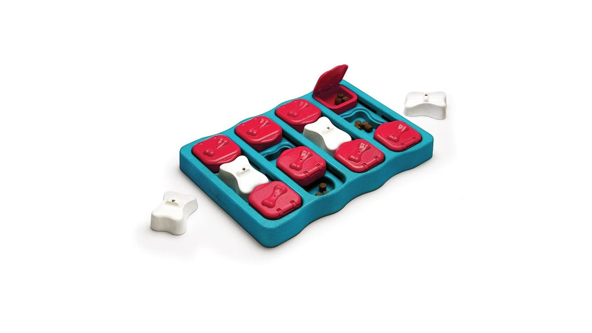 Nina Ottosson Dog Brick Interactive Dog Puzzle – Level 2