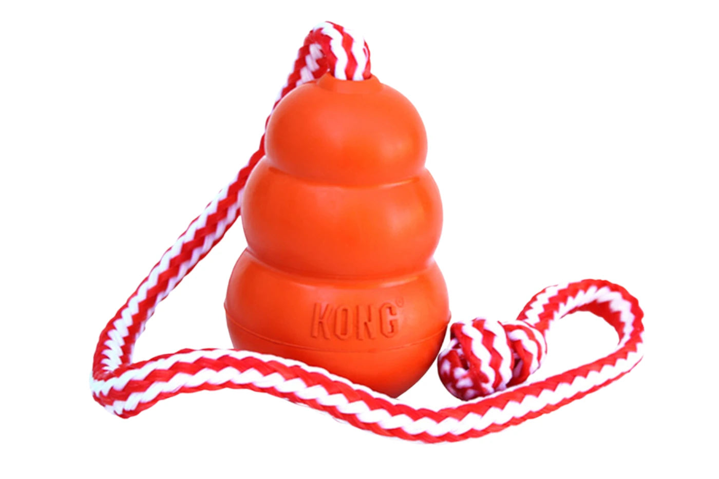 KONG Aqua Dog Toy - Large - Dog Toys