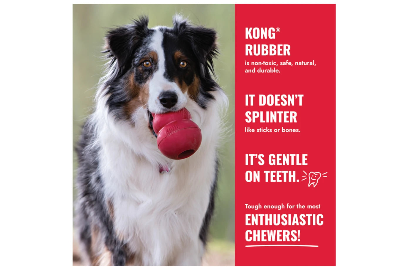 KONG Classic Dog Toy - Dog Toys