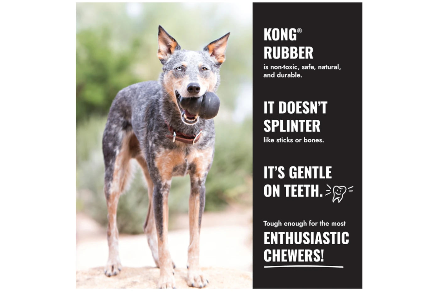 KONG Extreme Dog Toy - Dog Toys