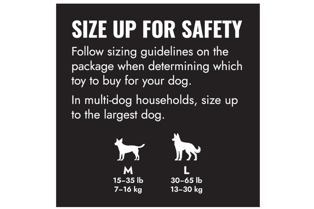 KONG Goodie Ribbon Dog Toy - Medium - Dog Toys