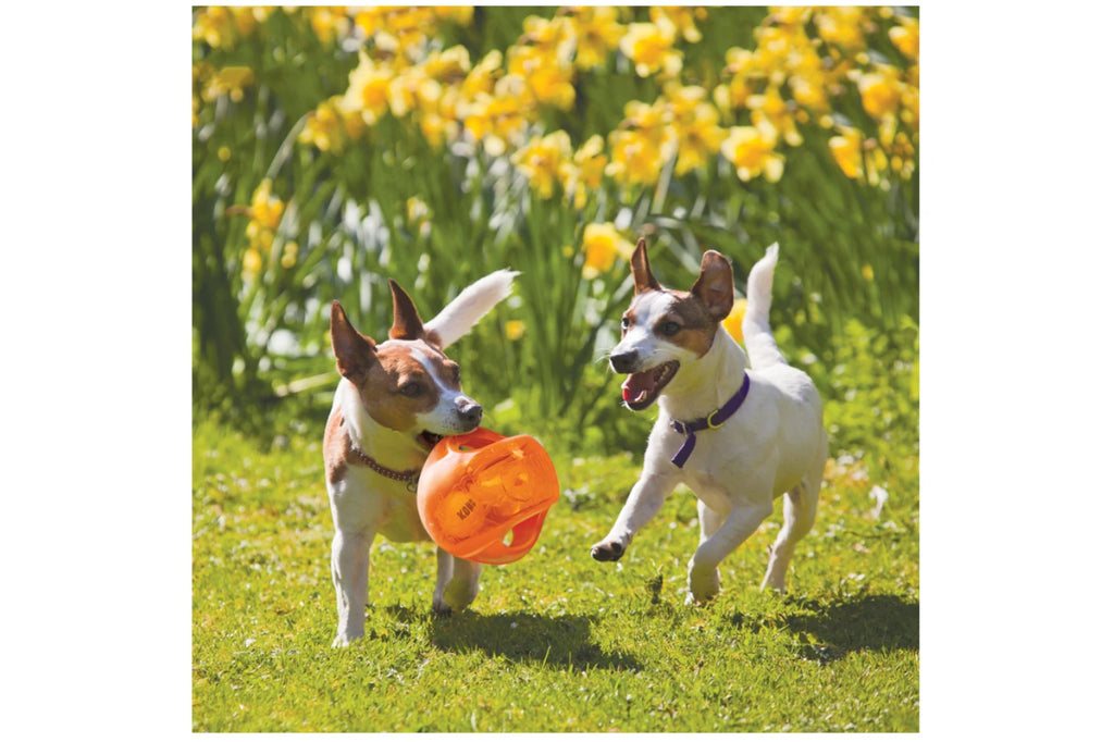 KONG Jumbler Ball Dog Toy - Dog Toys