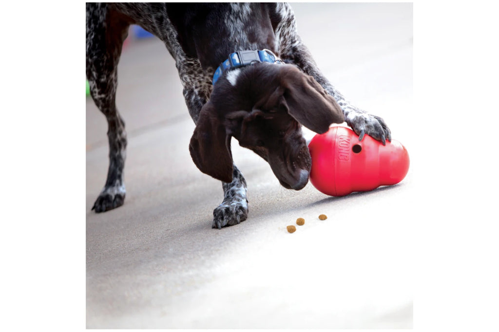KONG Wobbler Dog Toy - Dog Toys