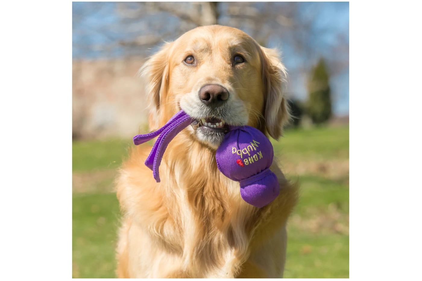 KONG Wubba Dog Toy - Large - Dog Toys