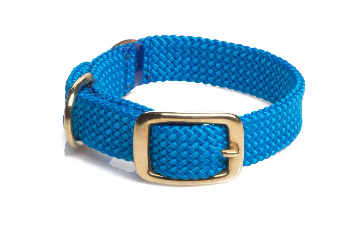Mendota Double-Braid Junior Brass Collars - Small / Blue - Dog Collars