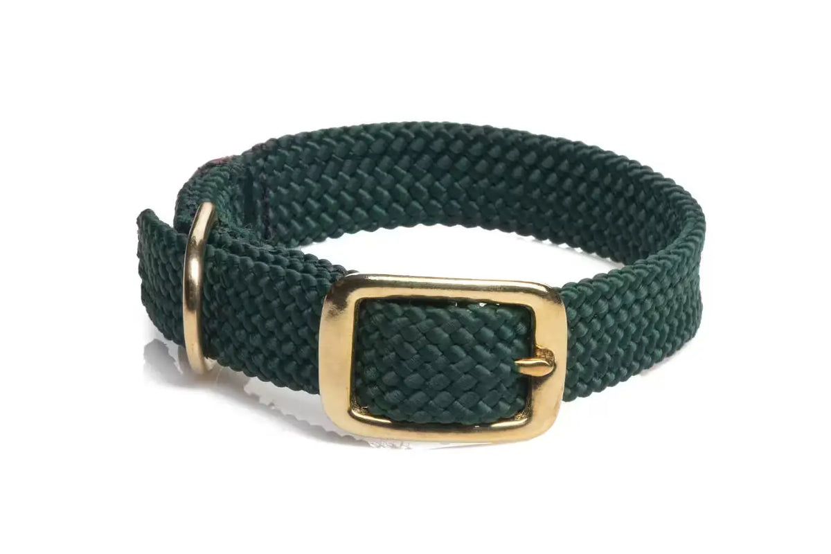 Mendota Double-Braid Adult Brass Collars - Large / Green - Dog Leads