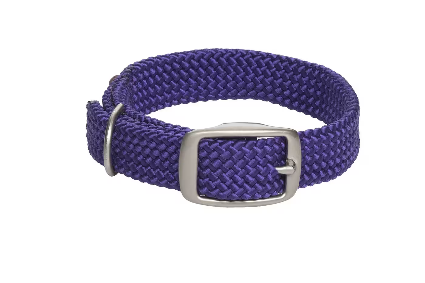 Mendota Double-Braid Junior Brass Collars (Copy) - Small / Purple - Dog Collars