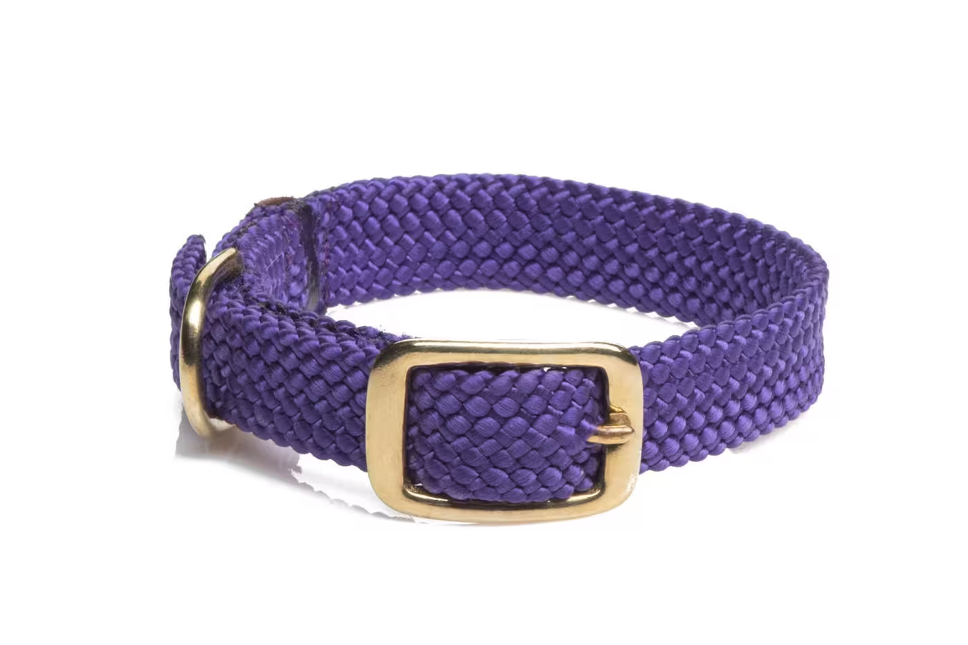 Mendota Double-Braid Adult Brass Collars - Large / Purple - Dog Leads