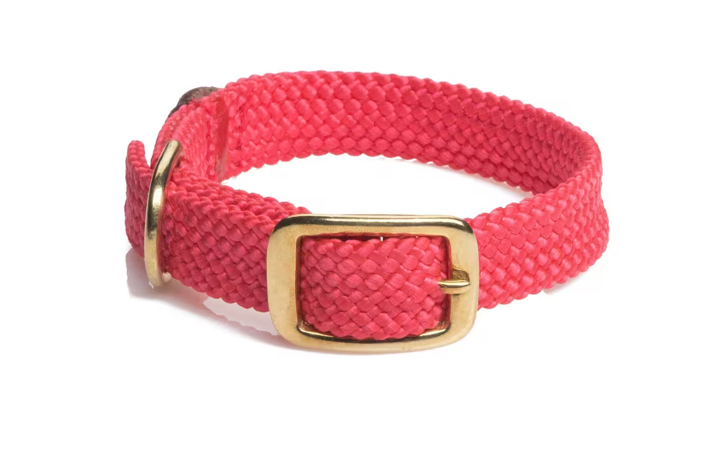 Mendota Double-Braid Adult Brass Collars - Small / Red - Dog Leads