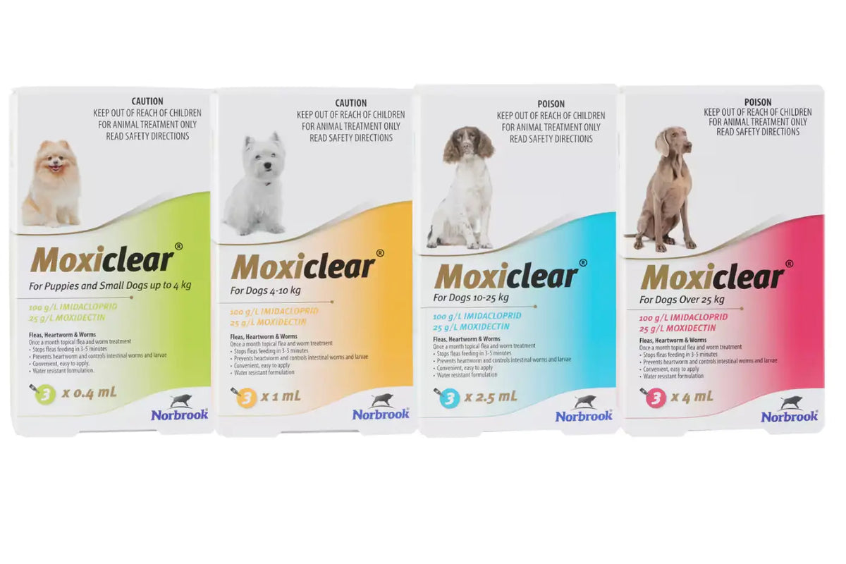 Moxiclear Flea and Worm Treatment for Dogs - Dog Flea and Worm Treatment