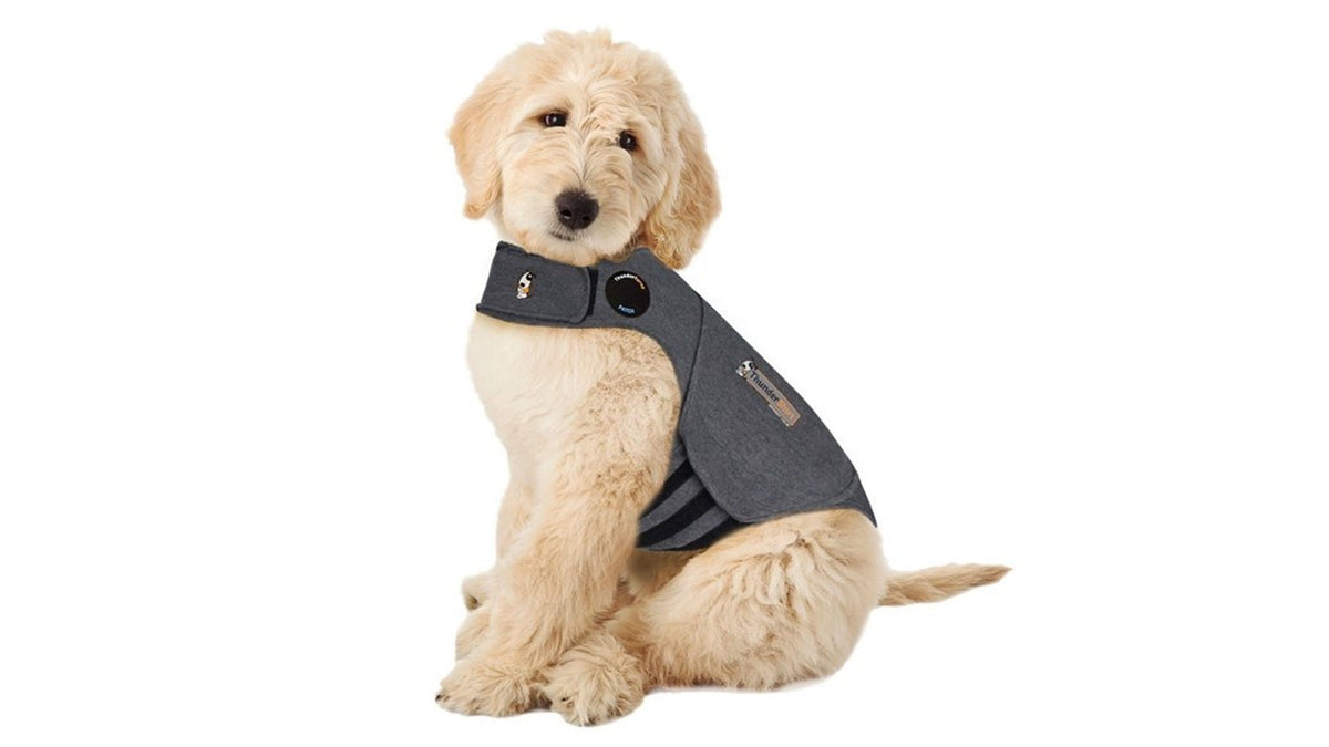 ThunderShirt Classic Calming Shirt – Large
