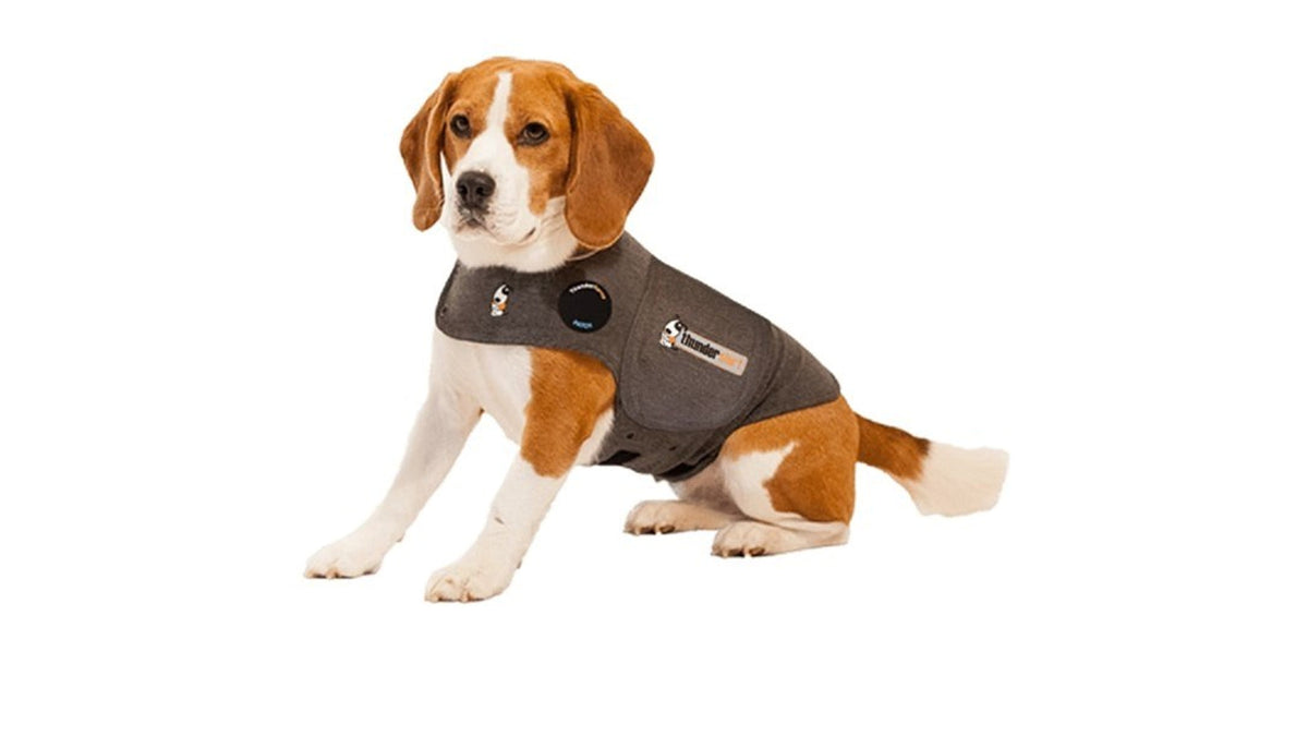 ThunderShirt Classic Calming Shirt – Medium