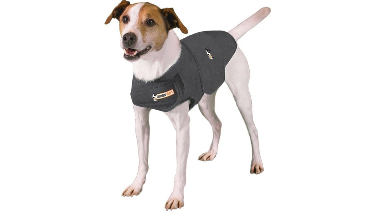 ThunderShirt Classic Calming Shirt – Small