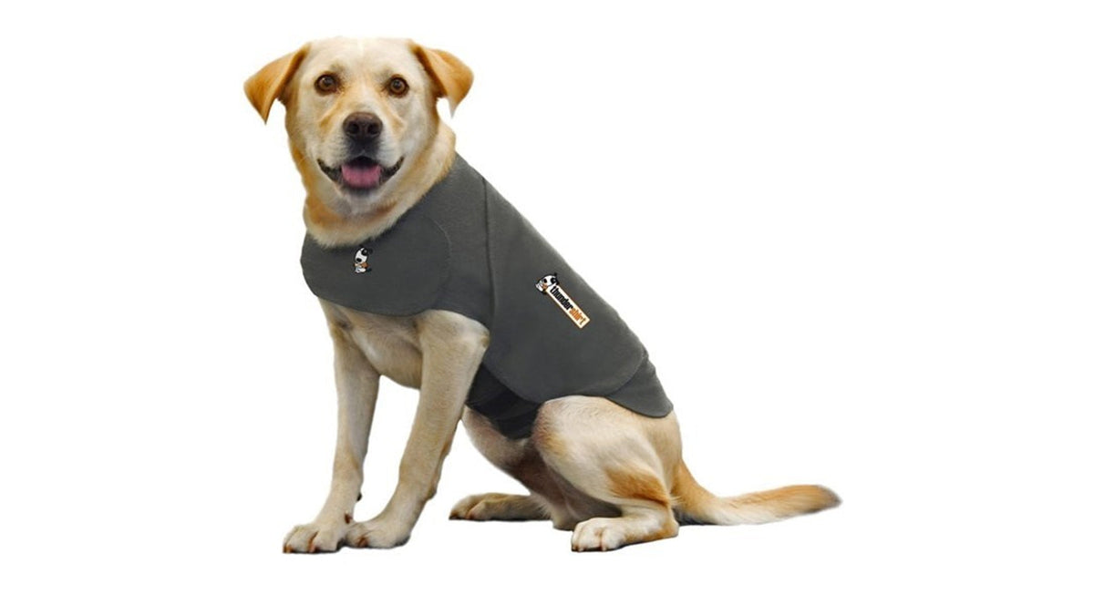 ThunderShirt Classic Calming Shirt – Extra Large