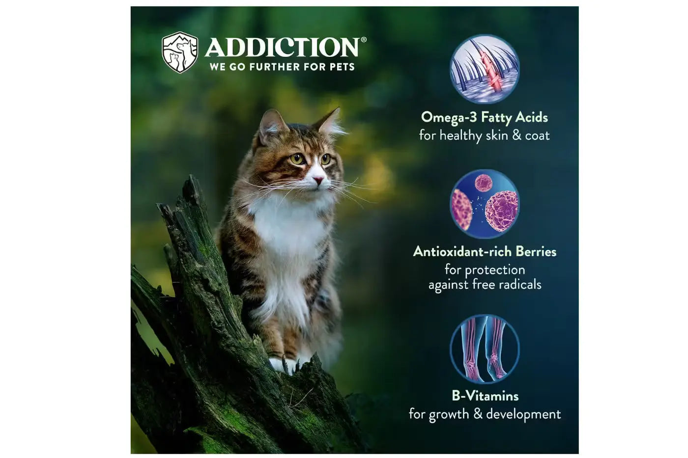 Addiction Duck Royale Entree Dry Cat Food Dry Cat Food