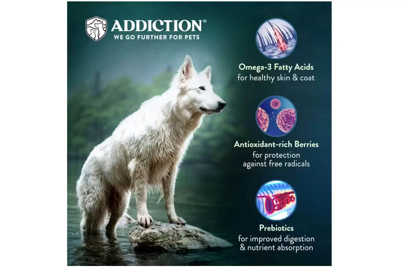 Addiction Le Lamb Dry Dog Food Dry Dog Food