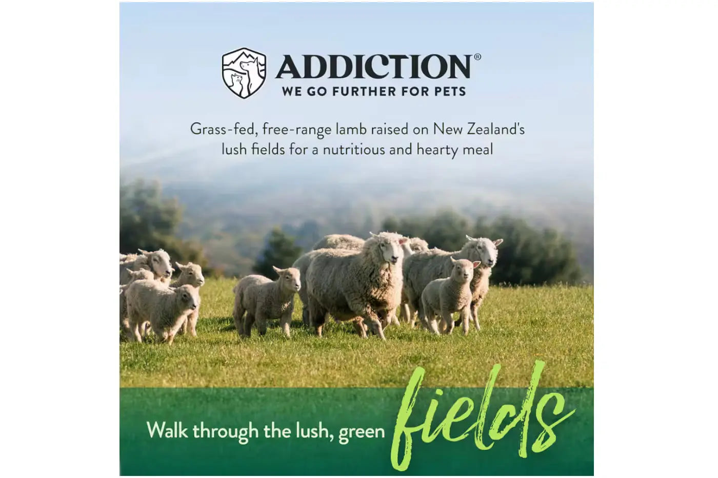 Addiction Le Lamb Dry Dog Food Dry Dog Food