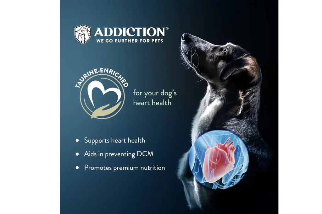 Addiction MEGA Lamb and Beef Dry Dog Food Dry Dog Food