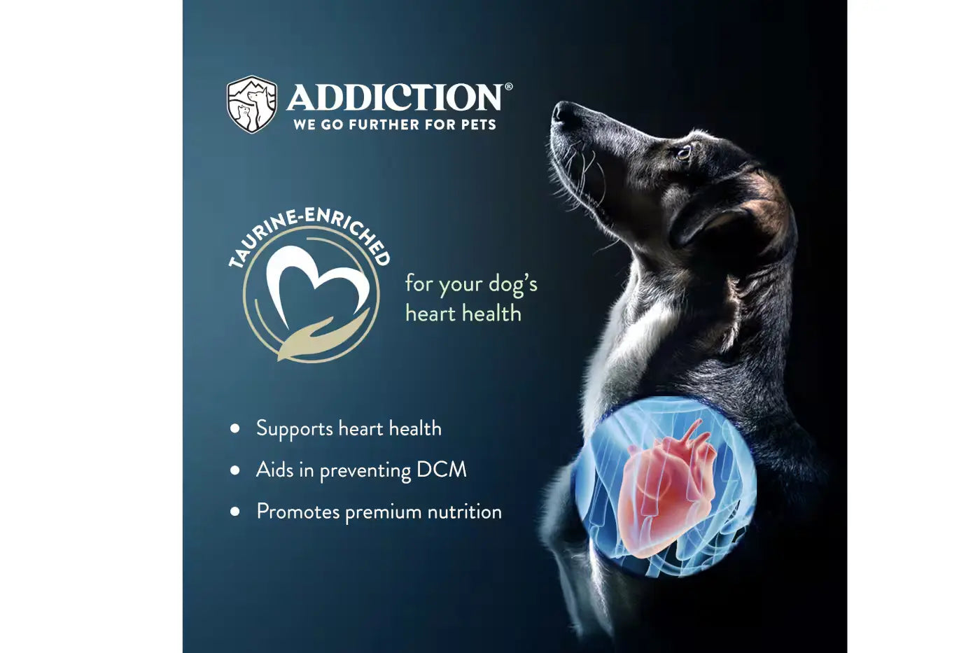 Addiction MEGA Lamb and Beef Dry Dog Food Dry Dog Food