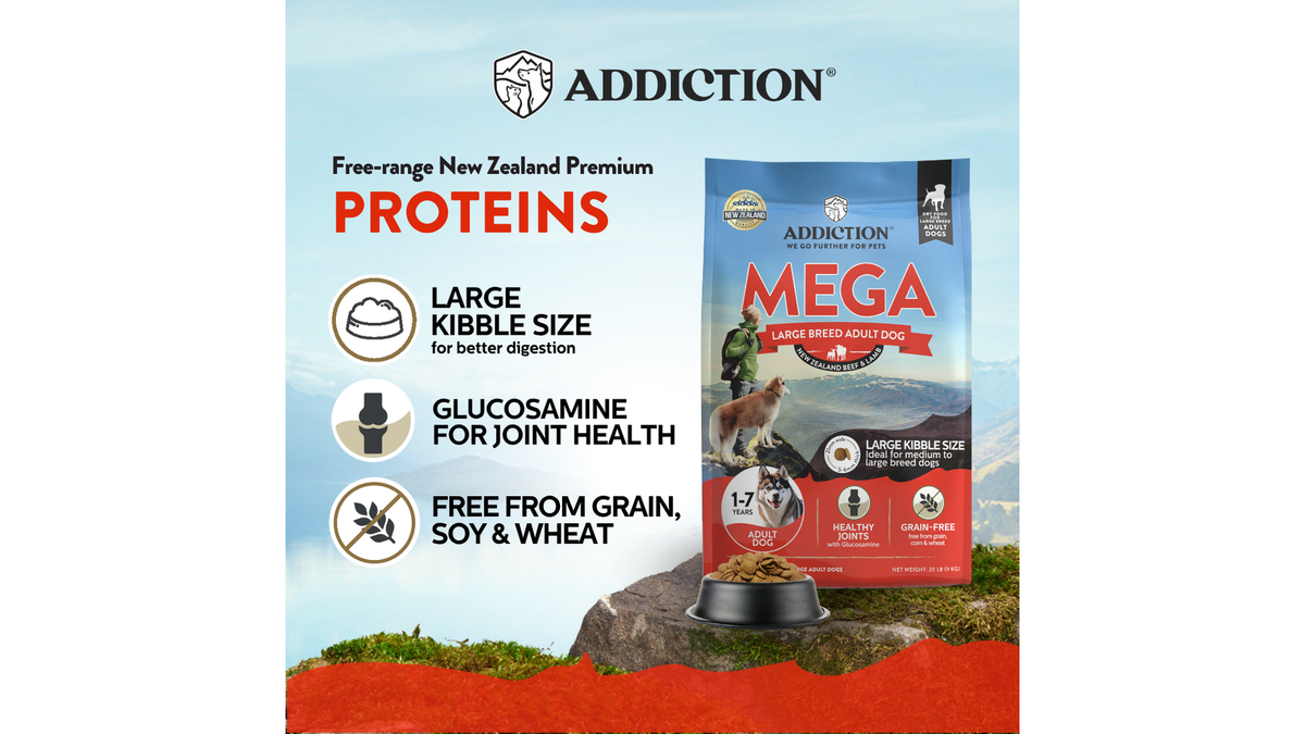 Addiction MEGA Lamb and Beef with large kibble, glucosamine for joints and no grain, soy or wheat