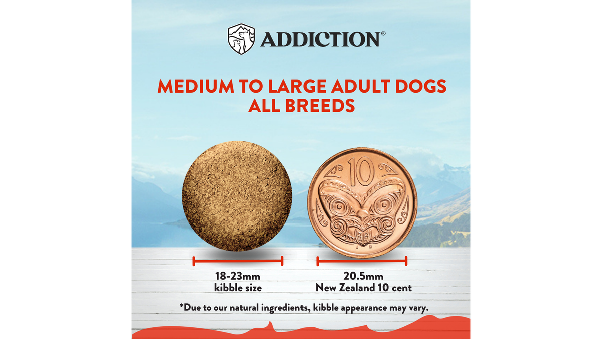 Addiction MEGA kibble size, 18 to 23mm, next to a New Zealand 10 cent coin