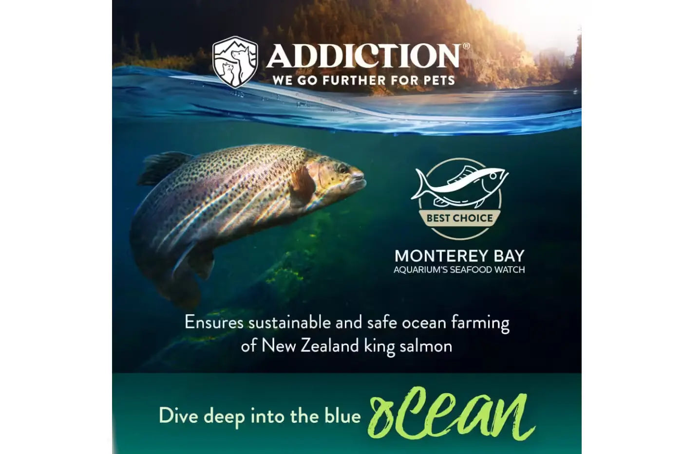 Addiction Salmon Bleu Dry Dog Food Dry Dog Food