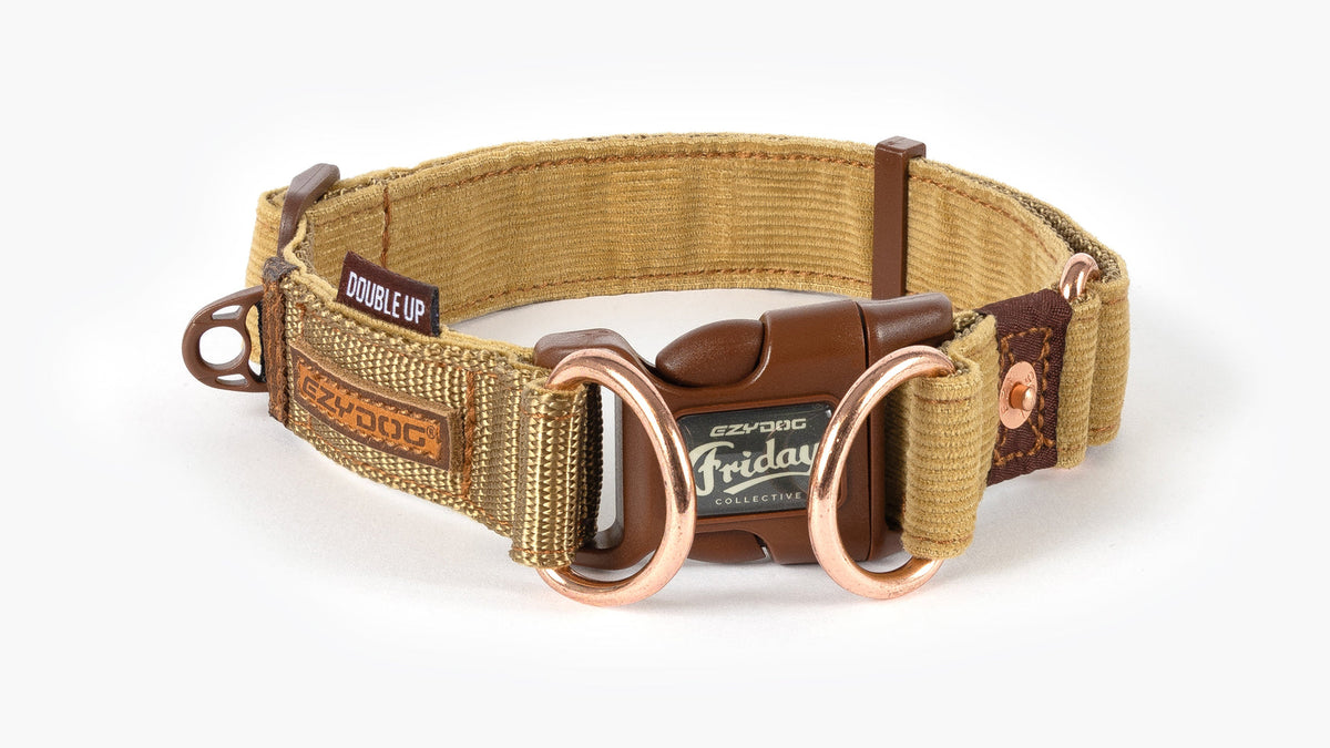 EzyDog Double Up Dog Collar – Corduroy