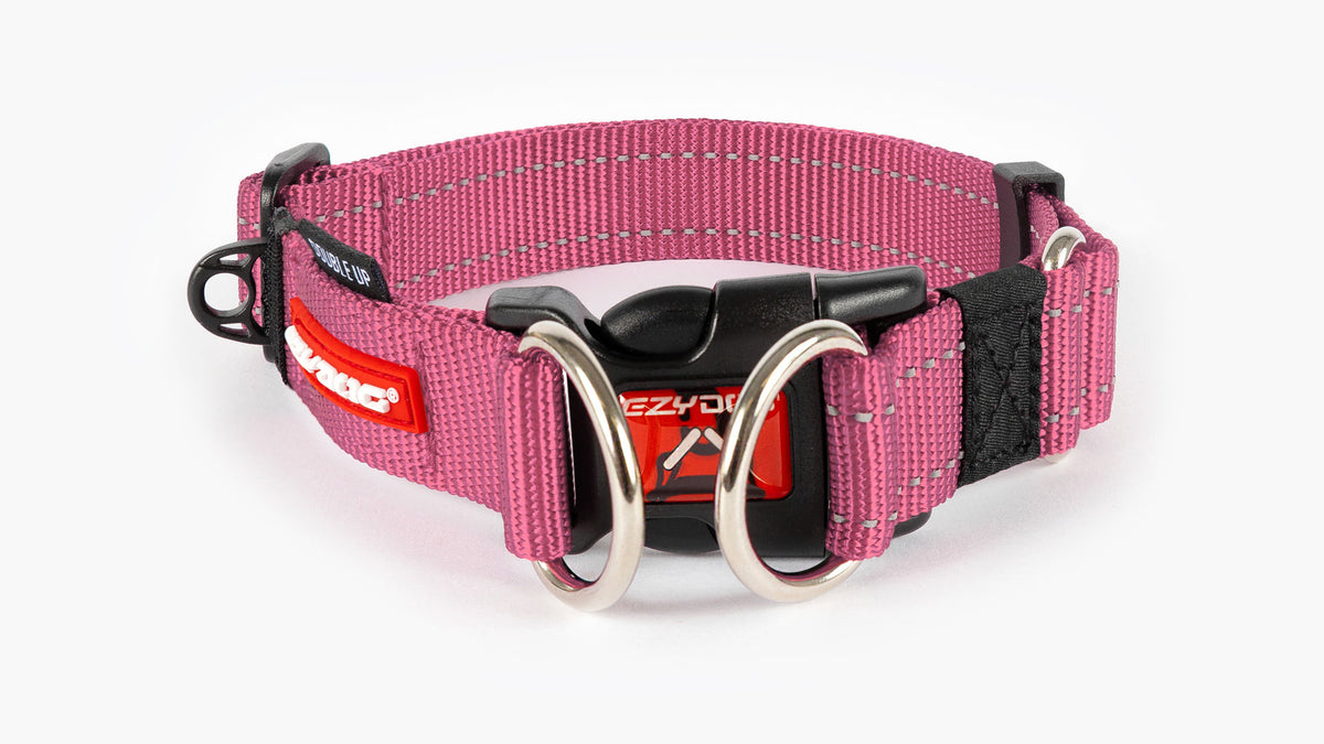 EzyDog Double Up Dog Collar – Pink