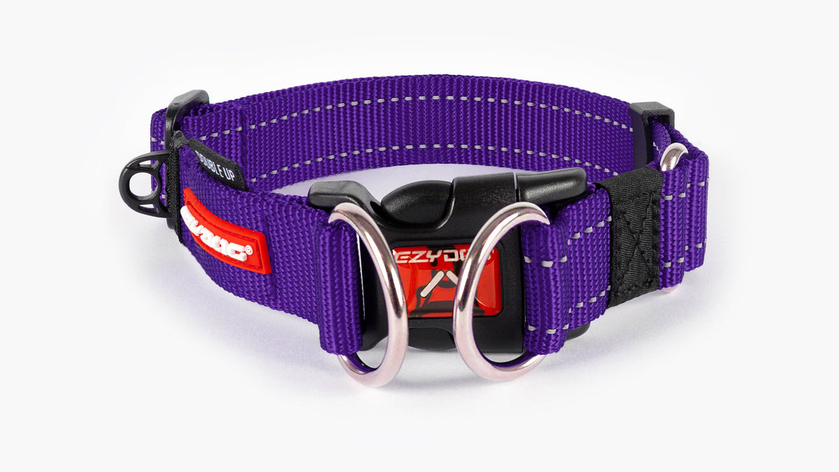 EzyDog Double Up Dog Collar – Purple