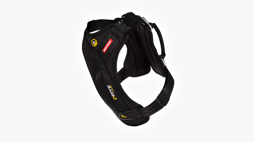 EzyDog Drive Dog Car Harness – Black