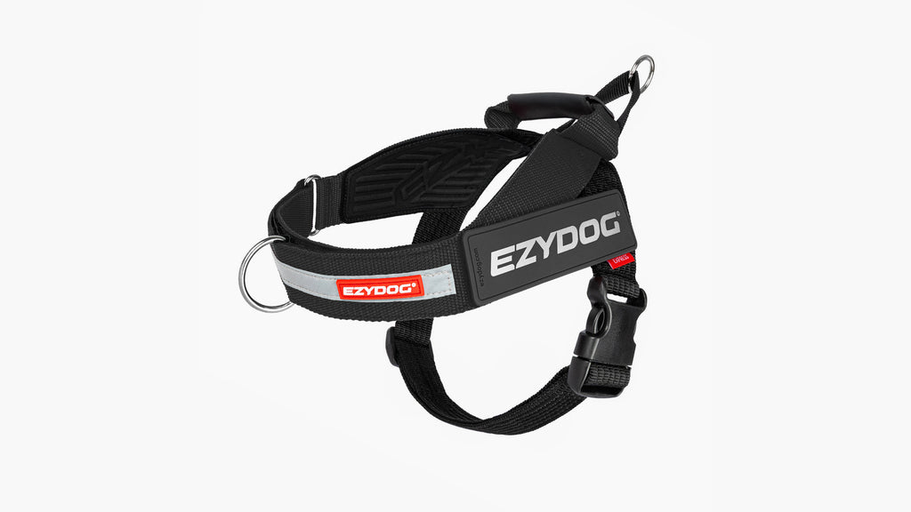 EzyDog Express Dog Harness – Black