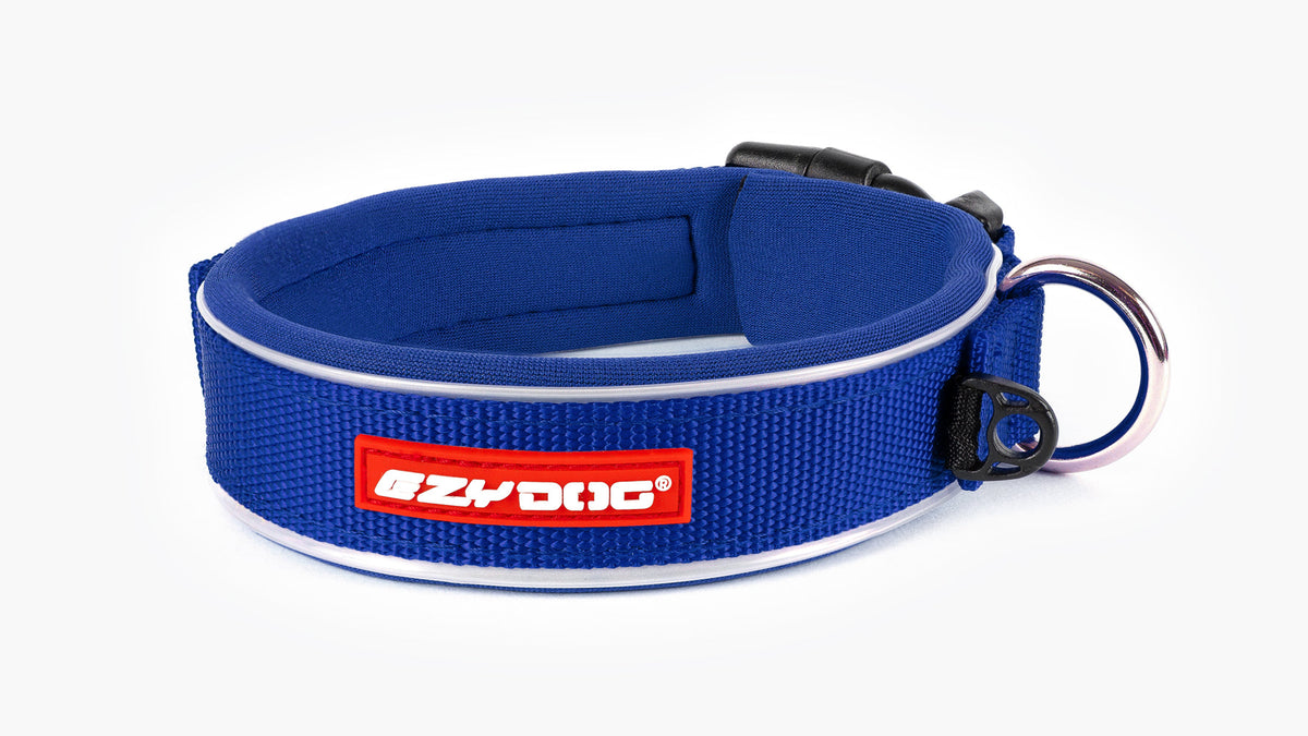 EzyDog Neo Classic Dog Collar – Blue