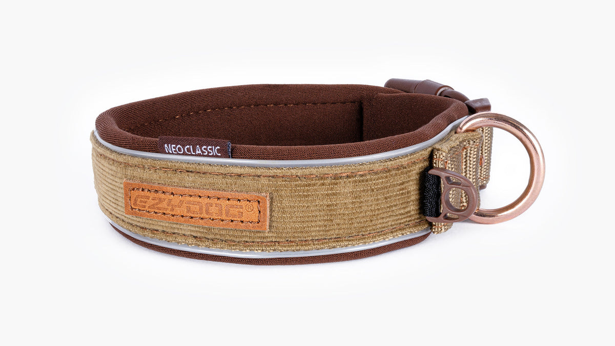 EzyDog Neo Classic Dog Collar – Corduroy