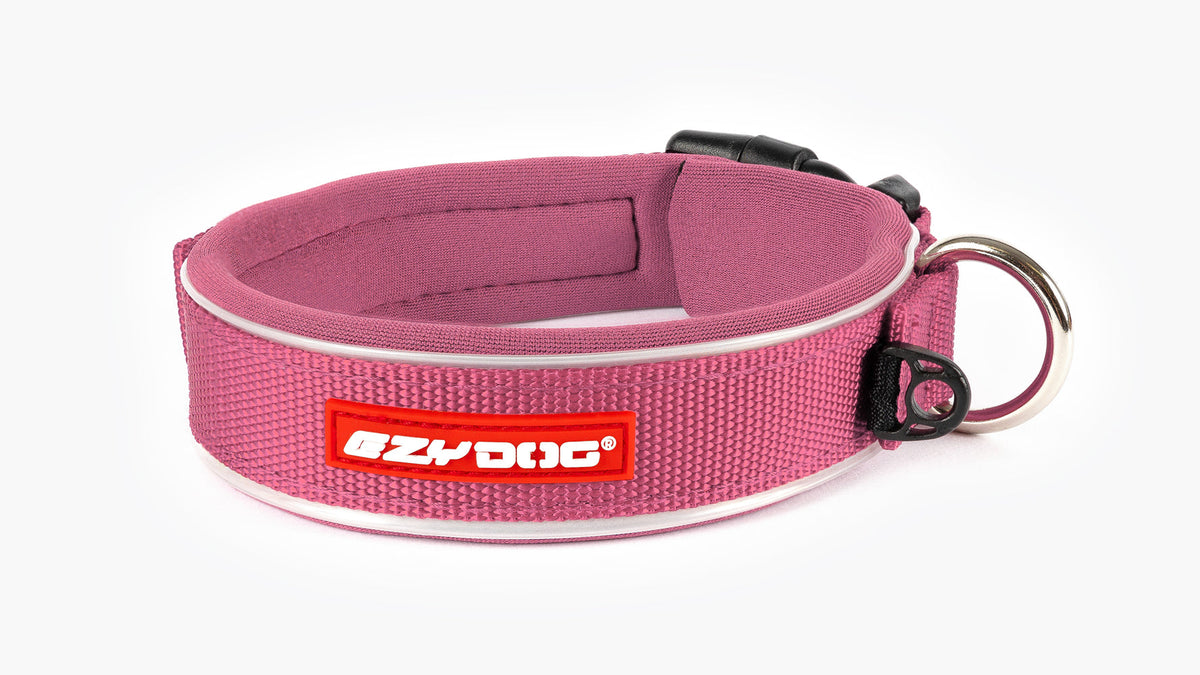 EzyDog Neo Classic Dog Collar – Pink