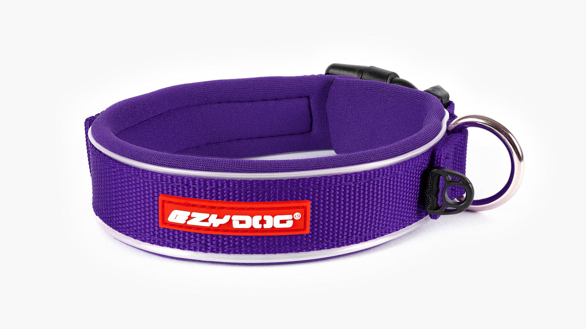 EzyDog Neo Classic Dog Collar – Purple