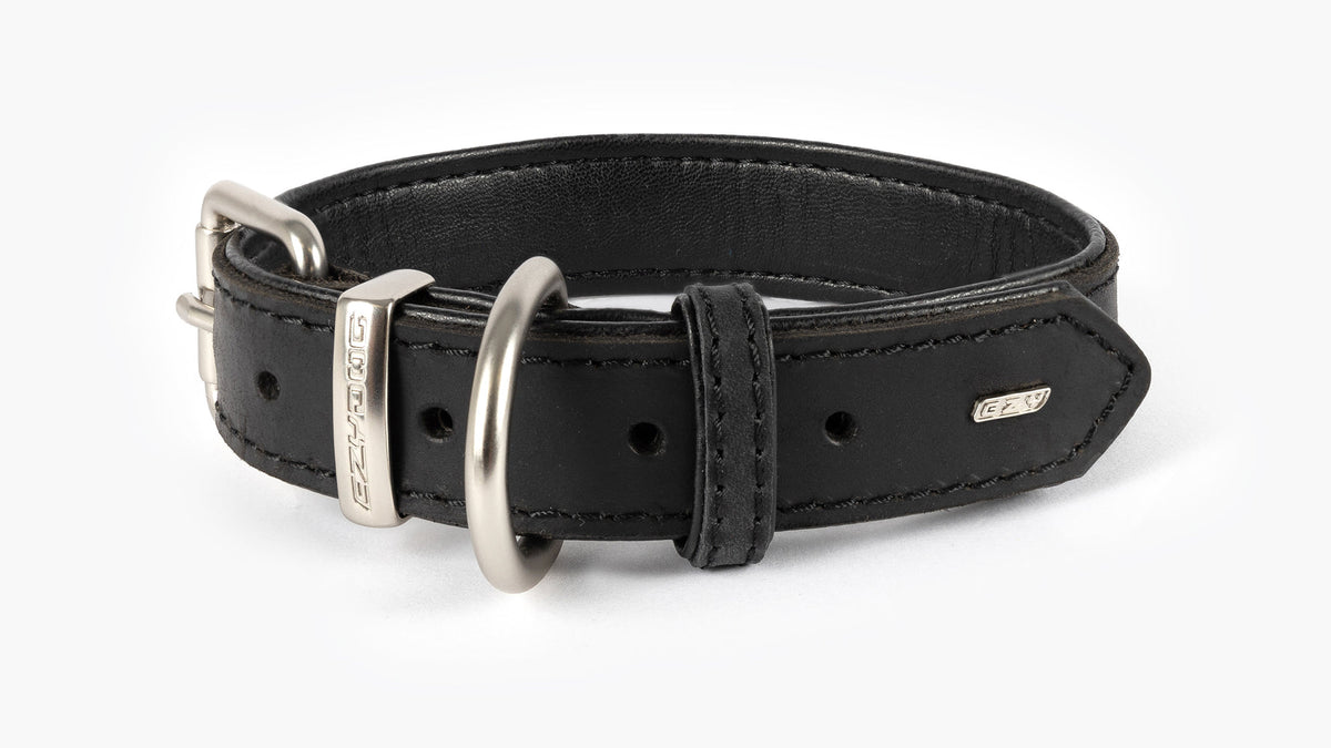 EzyDog Oxford Leather Dog Collar – Black