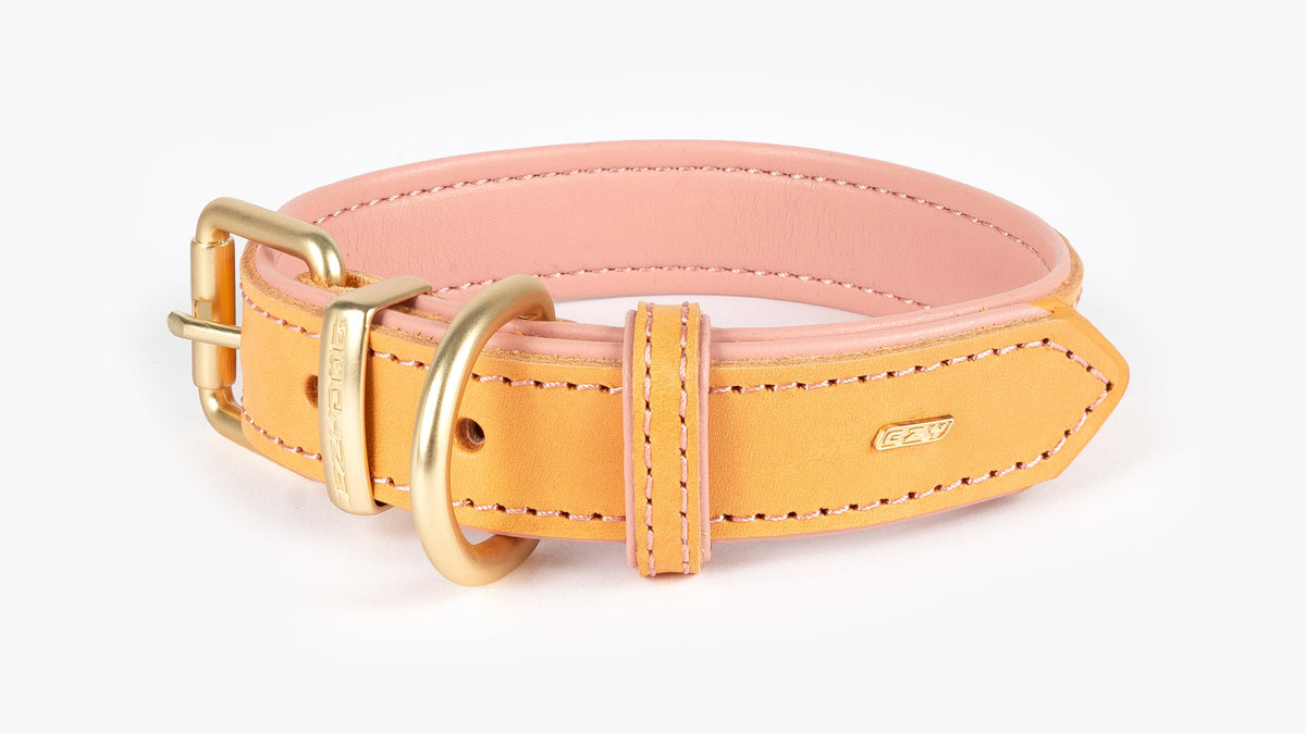 EzyDog Oxford Leather Dog Collar – Blush