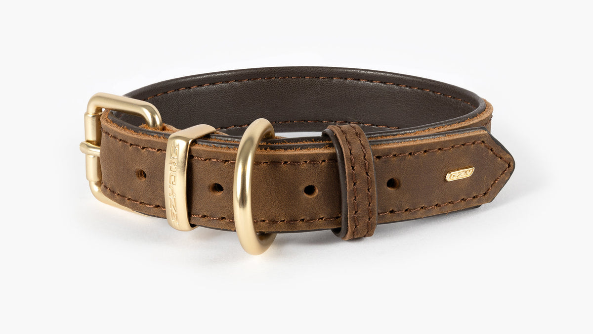 EzyDog Oxford Leather Dog Collar – Brown