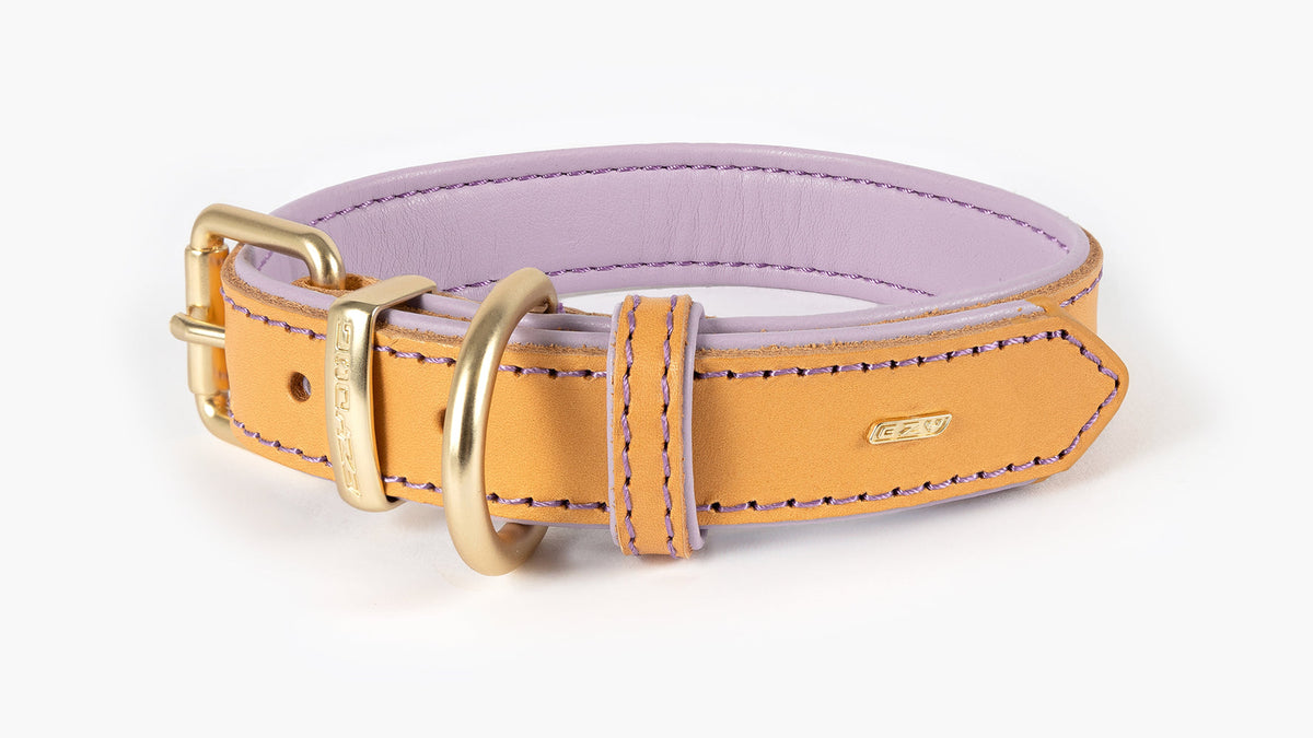 EzyDog Oxford Leather Dog Collar – Lilac